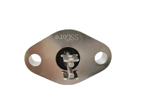 ELAN 48 Стекло Материалы Стекло Металл Уплотнения с 2-контактным номером Идеально подходит для электронных компонентов и датчиков